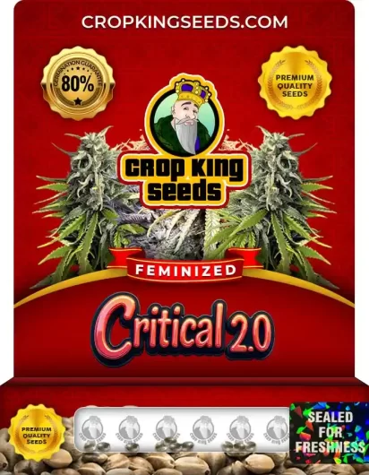 critical 2.0-image